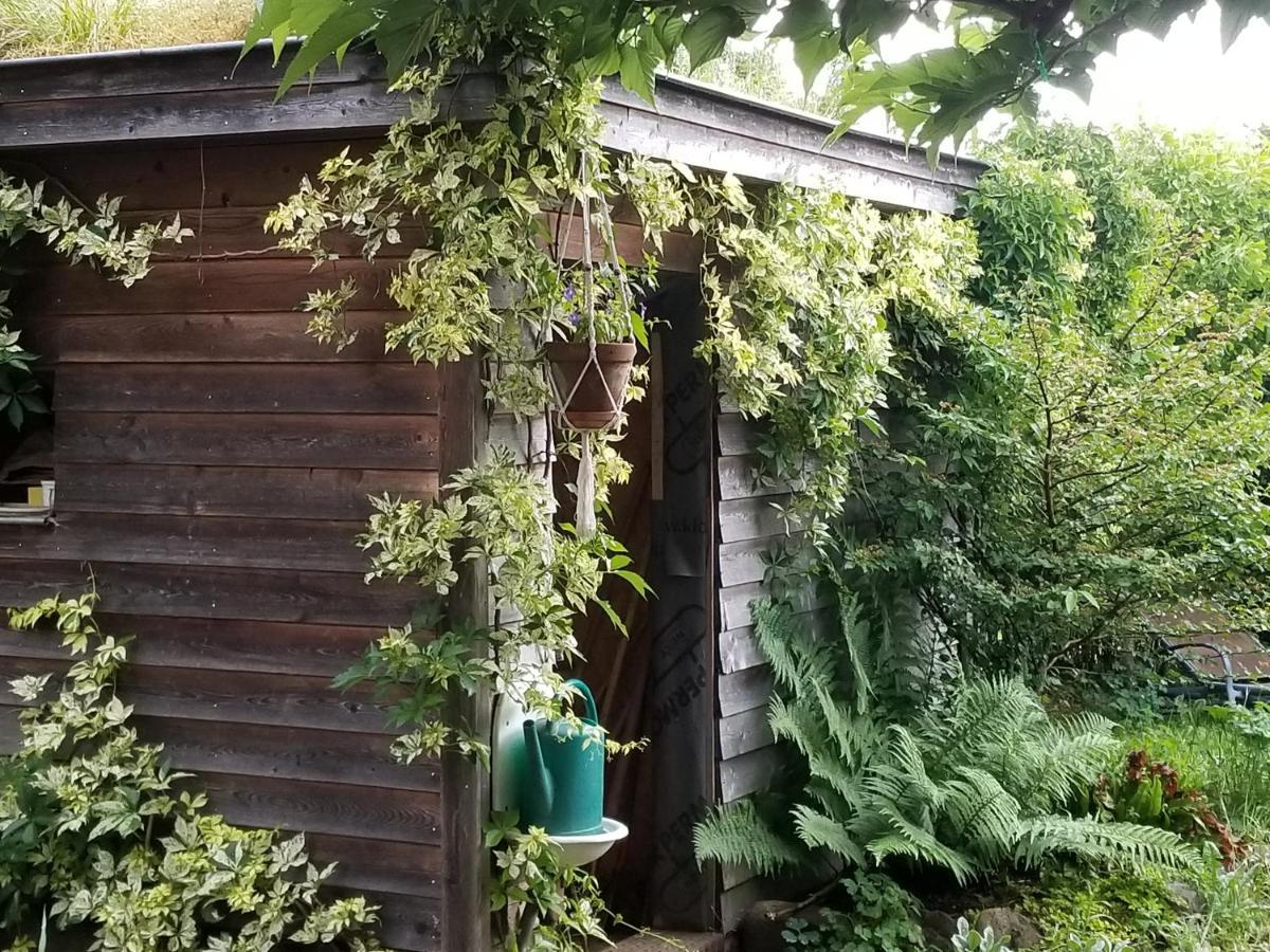 Chambre D'Hotes De Charme, Un Temps En Foret Westhouse Exteriör bild