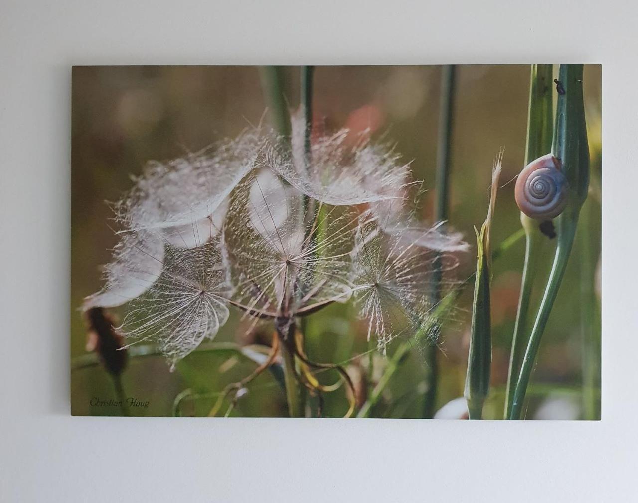 Chambre D'Hotes De Charme, Un Temps En Foret Westhouse Exteriör bild